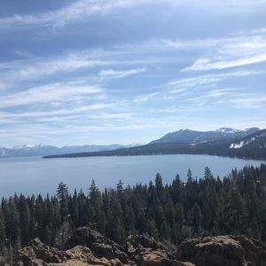 Meet your Posher, Cynthia